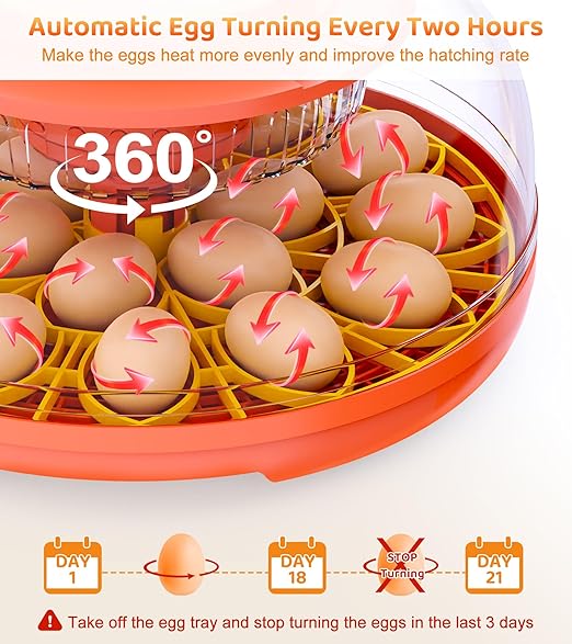 18 Egg Incubator with Automatic Egg Turning, Digital Temperature Humidity Control, Incubator for Hatching Eggs, 360° View Candler, Chicken, Quail, Duck, Goose, Turkey for Home & Farm - Image 4