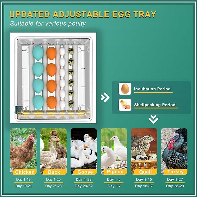 Choies 16 Egg Incubator,Incubators for Hatching Eggs,Automatic Egg Turning,Humidity Control,Automatic Water Adding,Incubator with Egg Candler,Quail Eggs Incubators for Hatching Chicken,Duck,Goose - Image 7