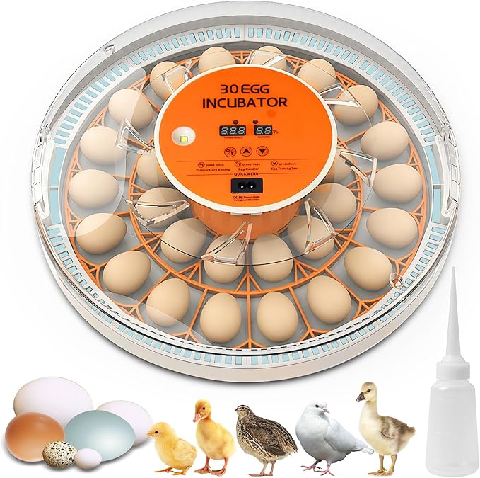 30 Egg Incubator with Automatic Egg Turning and Humidity Control,360 Degree View with Clear Window, Incubators for Hatching Eggs, Chicken, Ducks, Goose, Pigeon, Quail, Parrot by Unknown