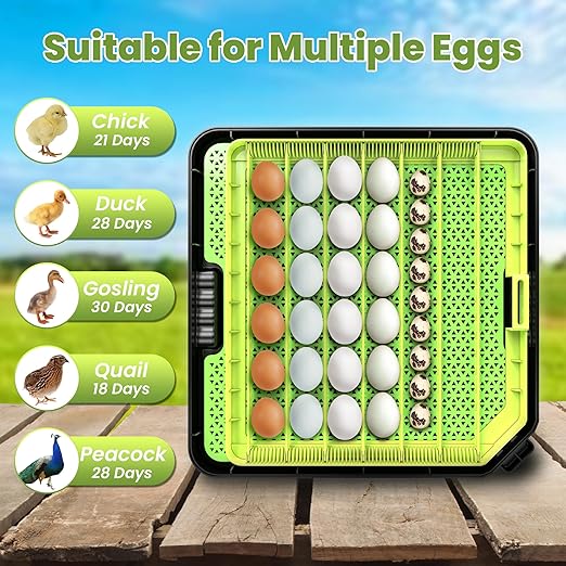 48 Egg Incubator for Hatching Eggs with Automatic Egg Turning, Temperature & Humidity Control, Egg Incubator with 360° View Window and Egg Candler, Incubator for Chicken, Duck, Quail Eggs - Image 7