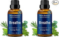 Breathe Essential Oil Blend 30 ml - Breath Sinus Relief with Menthol Oils - for Humidifiers, Diffusers, and Aromatherapy - Nexon Botanics (Pack of 2) by NexonBotanics