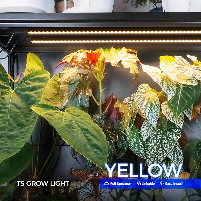 Barrina T5 Grow Lights for Indoor Plants, 3FT 128W (8 X 16W) Plant Grow Lights Indoor with Magnetic Bar, Linkable Plant Growing Lamps with Black Cover, Plug and Play, Yellow, 8 Packs - Image 3