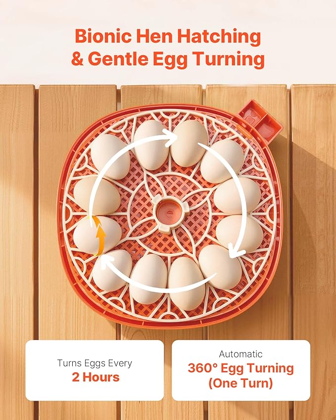 VEVOR 12 Egg Incubator, Automatic Egg Turner with LED Candler, Temperature & Humidity Control, 360° View Clear Window, Poultry Eggs Incubator for Home Farm, Hatching Chicks Ducks Goose Quail - Image 4