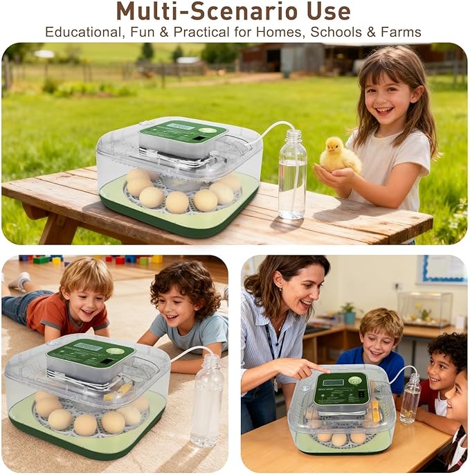 2026 New Auto 12-Egg Incubator for Beginners, Automated Incubation, Sensor-Based Precise Humidity & Temp Control, Custom-Interval Auto Turn & Auto Stop, Preset Incubation Days, Candler - Image 8