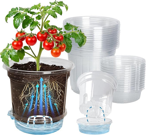 12 Pack 6.5 Inch Clear Self Watering Plant Pots with Bottom Water Tray & Watering Rope, Transparent Nursery Pots with Drainage for Seedlings, Herbs, and Houseplants by Bluepro