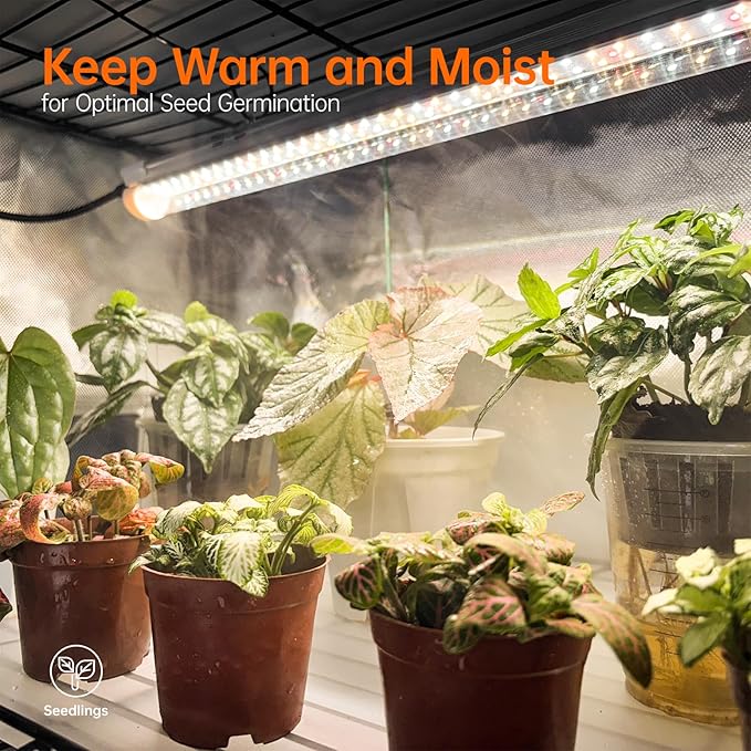 Bstrip Indoor Greenhouse with Grow Light, Plant Stand with 4 Pack 24W Full Spectrum Plant Lights, Plant Shelf with Tent for Indoor Plant, Seed Starting, Seed Tray, 29.5"x13.8"x59" - Image 4