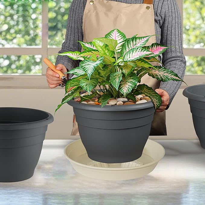 4 Pack Plant Saucer 8 inch, 10 12 14 17 inch, Plant Stand Plastic Plant Saucers for Indoors Outdoor, Heavy Duty Flower Planter Drip Trays for Pots, Pot Saucers for Plants, Grow Bags Saucers - Image 5