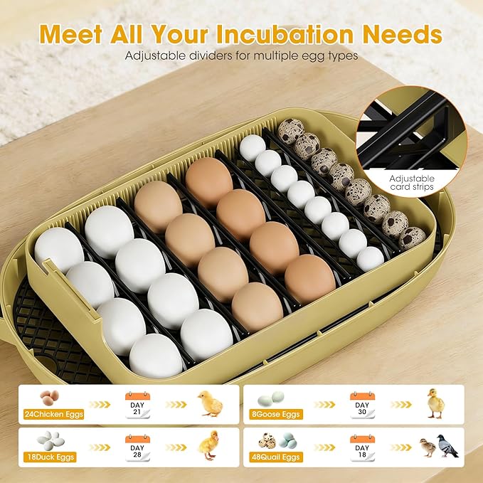 24 Egg Incubator for Hatching Eggs, Automatic Egg Turning, Temperature & Humidity Control, Egg Candler, for Hatching Chicken, Duck, Quail, Goose - Ideal for Farm, Classroom, Home Use - Image 4
