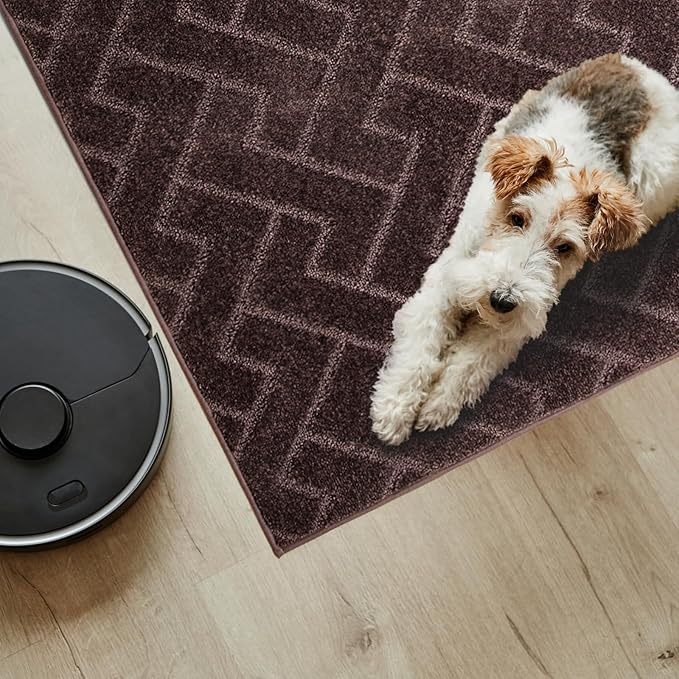 PURRUGS Easy Care Area Rug 4ft x 6ft, Non-Slip Machine Washable Entry Rug, Dog Door Mat, Stain Resistant Accent Rug for Hallway, Bedroom, Living Room and Mudroom, Brown - Image 4
