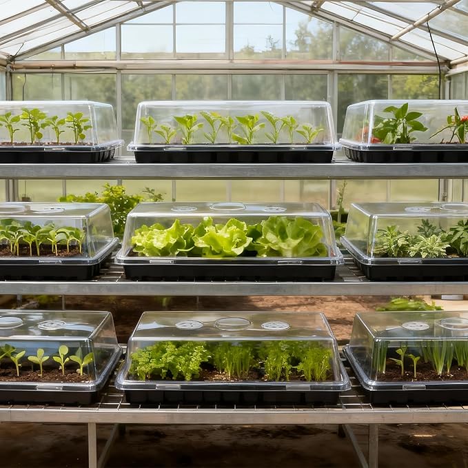 15 Pcs 4'' Tall Sturdy Humidity Domes,Taller and Thicker 1020 Humidity Domes for Plants Seed Starting,Clear 1020 Seed Starting Tray Lids with Adjustable Vent,Greenhouse Plant Growing Tray Cover Dome - Image 8