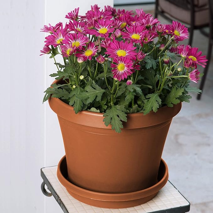 Bloem Terra Resin Saucer Tray: 8" Bottom Width - Matte, Durable, Ribbed Bottom, Indoor and Outdoor, Fits 10" Terra Pots, Terra Cotta - Image 5