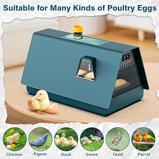 Incubator for Hatching Chicks, 10 Eggs Incubators with Automatic Egg Turning, Temperature and Humidity Control, Egg Candler, Hatching Incubator for Small Poultry, Chicken, Ducks (10 Eggs) - Image 7