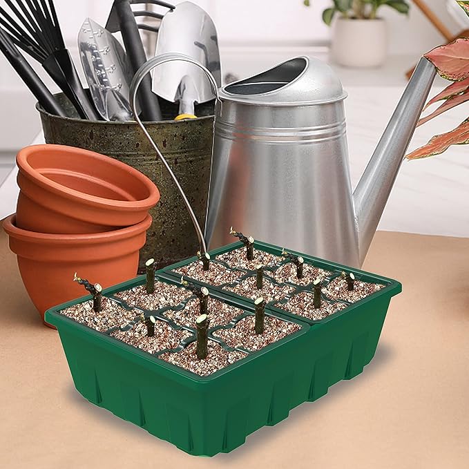 Gardzen 10-Set Garden Propagator Set, Clear Seed Tray Kits with 120-Cell, Seed Starter Trays with Dome and Green Base 6.6" x 4.5" (12-Cell Per Tray) - Image 6