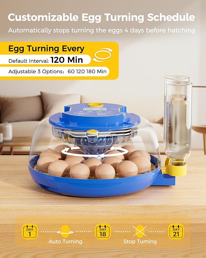 18 Incubators for Hatching Eggs, Automatic Egg Turning and Humidity Control, 360 View, Suitable for Chickens, Ducks, Quails, and Other Birds - Image 3
