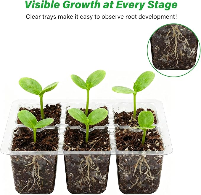 Bonviee 10 Packs Seed Starter Tray with Drainage Holes, Reusable & Durable, Clear for Root Monitoring, Easy to Repotted Without Root Damage, 6 Cells per Tray - Image 5
