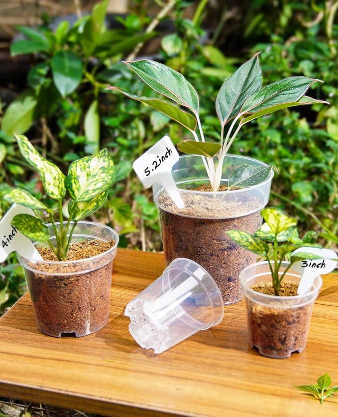 homenote Clear Nursery Pots for Plants,4 Inch Plant Pot for Planting Plastic Seedling with Drainage Holes Seed Starter Flower High Transparency with 20 Labels (30 Pack) - Image 3