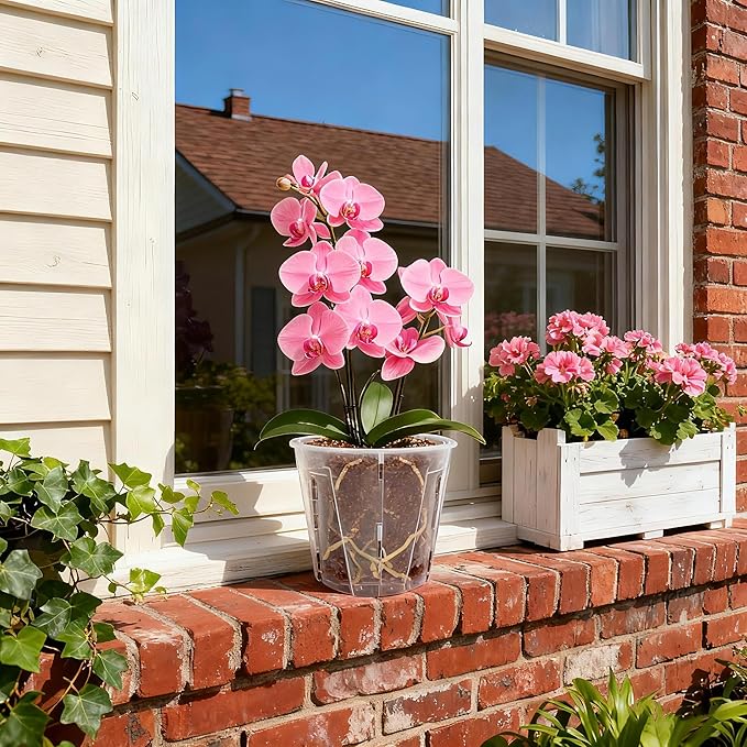 5 Inch Side-Open Orchid Pots 12 Pack, Clear Plastic Nursery Planters with Detachable Side Walls for Easy Repotting, Breathable Slotted Flower Pots with Drainage for Root Health - Image 7