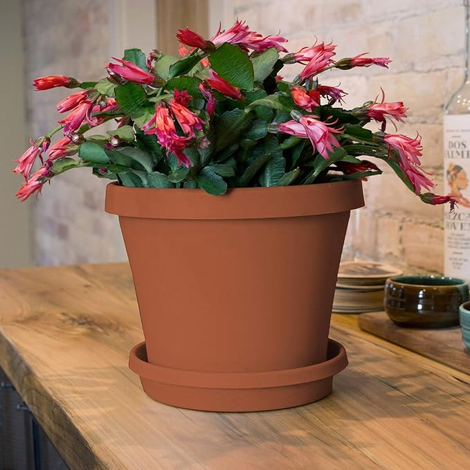 Bloem Terra Resin Saucer Tray: 8" Bottom Width - Matte, Durable, Ribbed Bottom, Indoor and Outdoor, Fits 10" Terra Pots, Terra Cotta - Image 4
