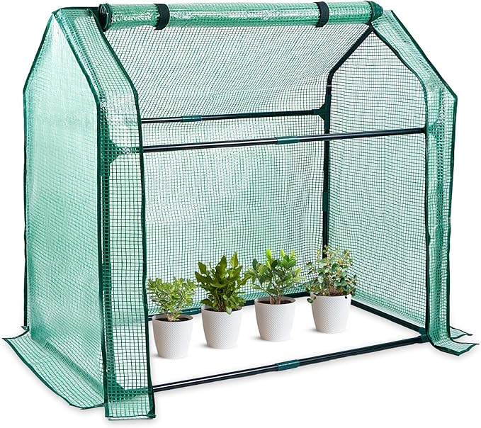 Mini Greenhouse Indoor, 36x19x34(H) Inches Tabletop Garden Nursery Plant Cover Tent with Humidity Domes for Home Gardening, Seedling Propagation and Germination, Green Cover by SUMGROW