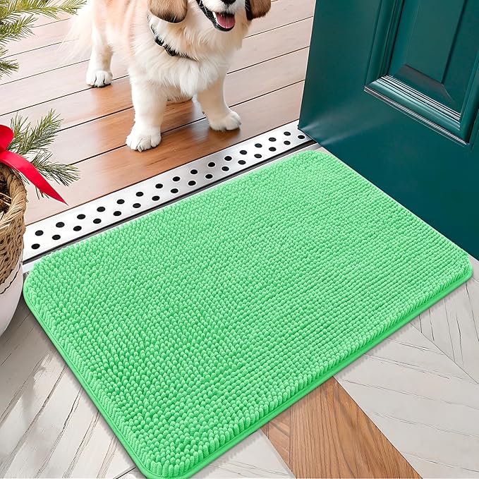 OLANLY Dog Door Mat for Muddy Paws 24x16, Absorbs Moisture and Dirt, Absorbent Non-Slip Washable Doormat, Quick Dry Chenille Mud Mat for Dogs, Entry Indoor Entryway Carpet for Inside Floor, Mint Green by OLANLY