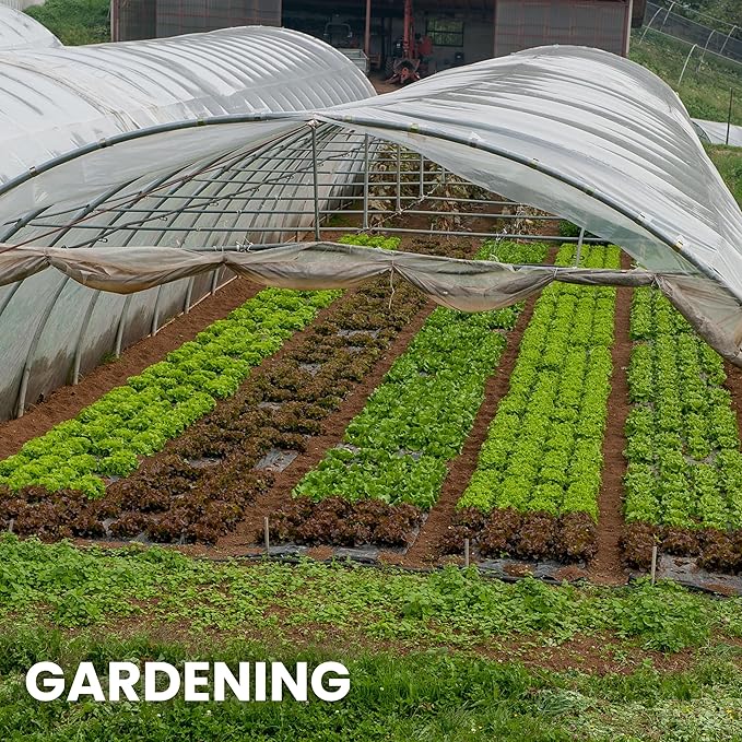 Plastic Sheeting (10' x 25') Long, 6 Mil - UV Protection Poly Sheeting Polyethylene Film, Heavy Duty Greenhouse Plastic Sheeting - Image 6