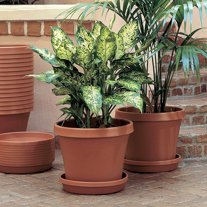 Bloem Terra Resin Saucer Tray: 8" Bottom Width - Matte, Durable, Ribbed Bottom, Indoor and Outdoor, Fits 10" Terra Pots, Terra Cotta - Image 2