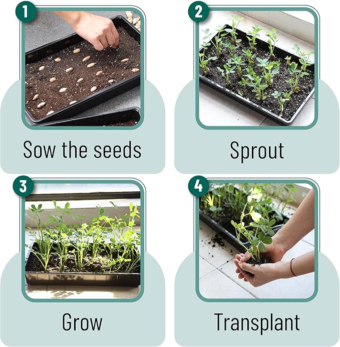 Mr. Pen- Plastic Growing Trays, 10 Pack, Black, 17”x10”, Plant Tray, Seed Tray, Seedling Tray, Propagation Tray, Plant Trays for Seedlings, Seedling Starter Trays, Microgreens Growing Trays - Image 7