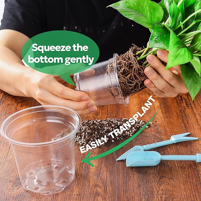 30 Packs 5 Inch Reinforced Clear Nursery Pots with Drainage Holes, Transparent Plastic Plant Pot Seedling Planter for Vegetable Propagation, Root Cutting, Seed Starting - Image 5