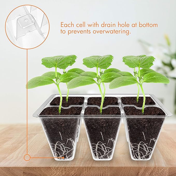 Gardzen 20 Pack Seed Starting Tray, Plant Germination Trays, Seed Starter Kit with Adjustable Humidity Vented Dome, Plant Growing Kit 6.6" x 4.5", Total 240-Cell, Clear - Image 5