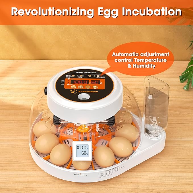 Incubators for Hatching Eggs, 12 Eggs Smart Incubator with Automatic Egg Turning and Humidity Control, Automatic Water Adding for Hatching Chicken, Duck,Quail Goose [2025 Upgrade] - Image 2