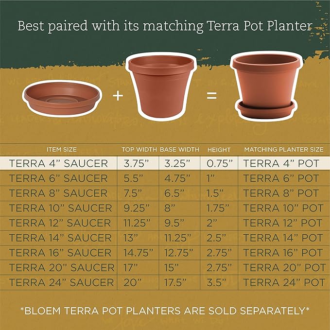 Bloem Terra Resin Saucer Tray: 6.5" Bottom Width - Black - Matte, Durable, Ribbed Bottom, Indoor and Outdoor, Fits 8" Terra Pots - Image 6