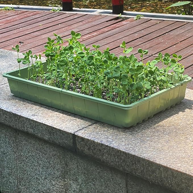 Mr. Pen-Plastic Growing Trays, 5 Pack, Plant Tray, Seed Tray, Propagation Tray - Image 6