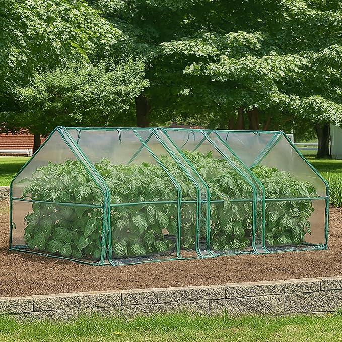 Miracle-GRO Mini Greenhouse 3’ x 8’ x 3’ Outdoor Mini Greenhouse Plant Tent, All-Season Compact Plant Growth Accelerator with PVC Cover and Zipper Panels, Clear - Image 8