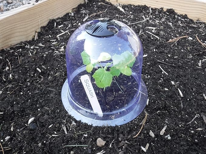 6-Pack! GrowAway Small Reusable Plastic Mini Greenhouse, Garden Cloche Dome, Plant Covers Frost Guard Freeze Protection for Plants Outdoors, Garden Tools, Garden Accessories - 7.87" Diam. x 6.69" H - Image 5