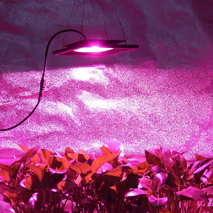 Waterproof 100W LED Grow Light Full Spectrum, New Technology COB LED Grow Light, Natural Heat Dissipation Without Noise, Suitable for Plants All Growing Stage Indoor or Outdoor. - Image 7