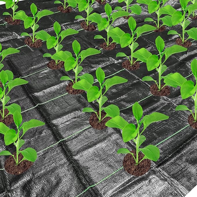 codree 13 x 6.5 Ft Garden Weed Barrier Landscape Fabric with Planting Holes- Heavy-Duty Garden Weed Control Barrier- Weed Block Gardening Mat with 6 Ground Nail for Outdoor Garden by codree