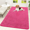 OLANLY Dog Door Mat for Muddy Paws 59x35, Absorbs Moisture and Dirt, Absorbent Non-Slip Washable Doormat, Quick Dry Chenille Mud Mat for Dogs, Entry Indoor Entryway Carpet for Inside Floor, Hot Pink by OLANLY