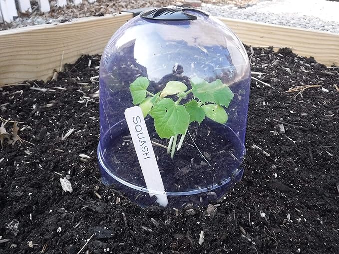 6-Pack! GrowAway Medium Reusable Plastic Mini Greenhouse, Cloche Dome, Plant Covers for Frost Guard Freeze Protection Outdoors, Garden Tools and Accessories - 10.24"Diam. x 7.48"H - Image 2