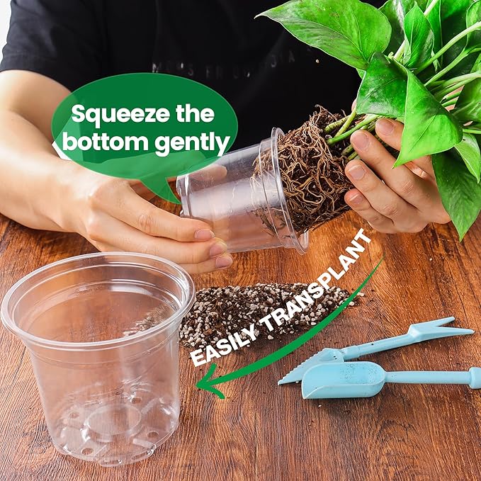 20 Pack 8/6/5/4/3.5 Inch Reinforced Large Clear Nursery Pots with Drainage Hole, Transparent Variety Pack Plastic Plant Pot for Vegetable Propagation, Root Cutting, Seed Starting - Image 5