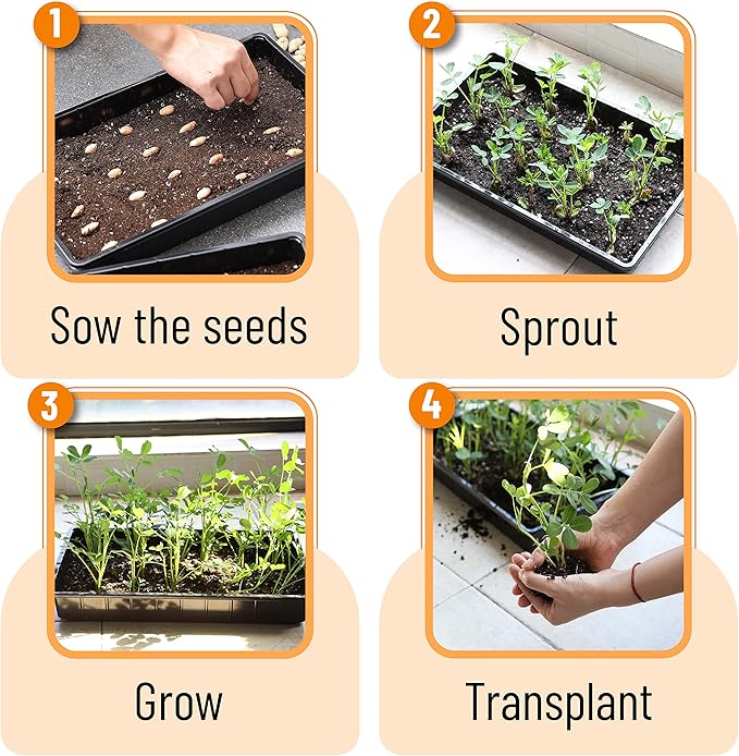 Mr. Pen- Plastic Growing Trays, 5Pack, Black, 17x10, Plant Tray, Seed Tray, Seedling Tray, Propagation Tray, Plant Trays for Seedlings, Planting Trays, Microgreens Growing Trays, Seedling Starter Tray - Image 7