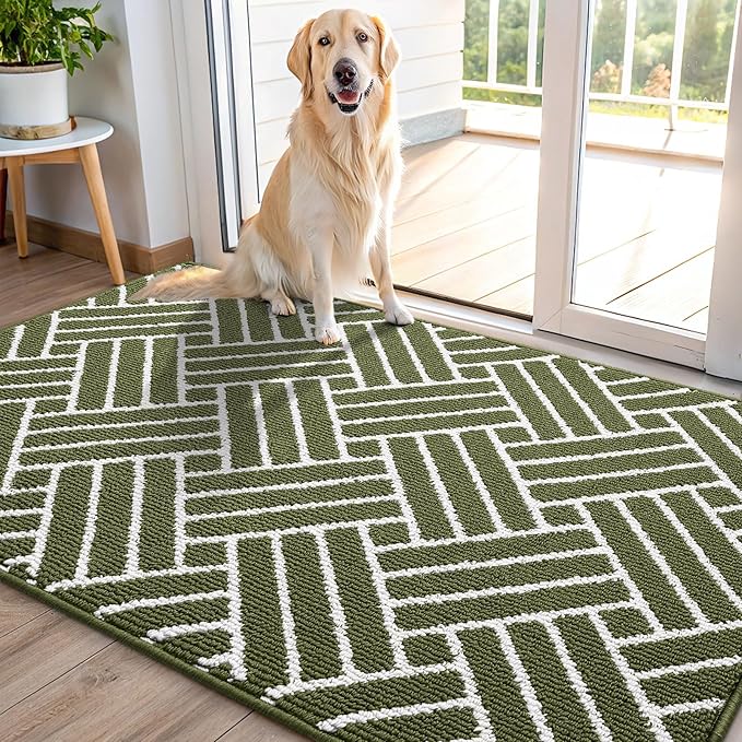 OLANLY Indoor Door Mat, 48x32 Inch, Dirt Resistant and Absorbent, Non-Slip Rubber Backing Floor Mats, Easy Clean Low-Profile Doormat for Entryway, Front Door, and Inside Entrance, Green by OLANLY