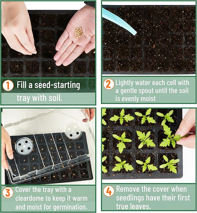 Mr. Pen- Seed Starter Tray Kits, 10 Pack, Total 400 Cells, Durable Plant Germination Trays with Humidity Vented Domes and Bases, Ideal for Seed Starting, Indoor Gardening and Greenhouse - Image 5