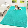 OLANLY Dog Door Mat for Muddy Paws 70x46, Absorbs Moisture and Dirt, Absorbent Non-Slip Washable Doormat, Quick Dry Chenille Mud Mat for Dogs, Entry Indoor Entryway Carpet for Inside Floor, Teal by OLANLY
