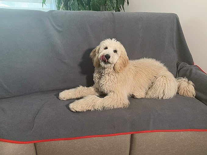 Premium Deluxe - 100% Waterproof Blanket Guarantees to Keep Your Bed Dry! Crinkle-Free Ultra-Soft Fleece Furniture Protector for People Kids Pets. EZ Wash/Dry Red/Grey Reversible 80x60 - Image 5