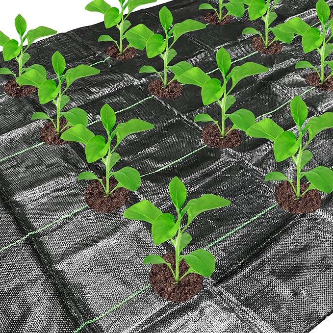 codree 13 x 4 Ft Garden Weed Barrier Landscape Fabric with Planting Holes- Heavy-Duty Garden Weed Control Barrier- Weeds Block Gardening Mat with 6 Ground Nail for Outdoor Garden by codree