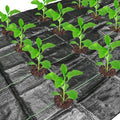 codree 13 x 4 Ft Garden Weed Barrier Landscape Fabric with Planting Holes- Heavy-Duty Garden Weed Control Barrier- Weeds Block Gardening Mat with 6 Ground Nail for Outdoor Garden by codree