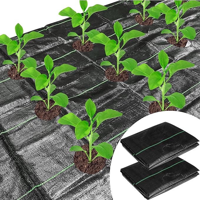 CODREE 2 Pcs Heavy-Duty Garden Weed Control Barrier - 33 x 3.3 Ft Landscape Fabric with Planting Holes - Weed Block Gardening Mat with 16 Ground Nails by codree