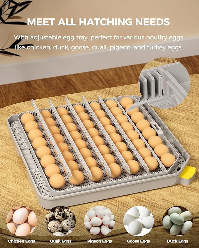 48 Egg Incubator for Hatching with Automatic Egg Turning and Humidity Control, Egg Candler, Poultry Egg Incubator for Chicken, Ducks, Goose, Pigeon, Quail, ideal for Farm, Classroom, Home - Image 6