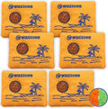 50g x 6 Packs Rechargeable Desiccant Packs, Orange Indicating Silica Gel Packets, Moisture Absorber for Storage, Seeds, 3D Filaments, Electronics, Safes, Luggage - Reusable Dehumidifier Bags by Wisesorb
