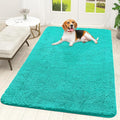 OLANLY Dog Door Mat for Muddy Paws 59x35, Absorbs Moisture and Dirt, Absorbent Non-Slip Washable Doormat, Quick Dry Chenille Mud Mat for Dogs, Entry Indoor Entryway Carpet for Inside Floor, Teal by OLANLY